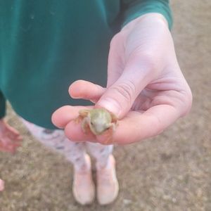 Meet your Posher, Tiffany